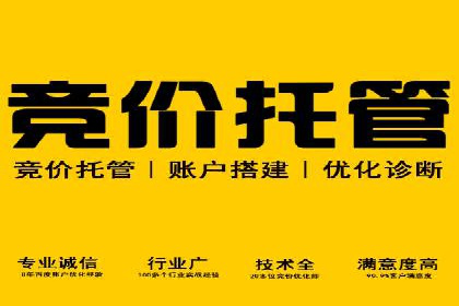 案例研究：信息流广告投放优化
